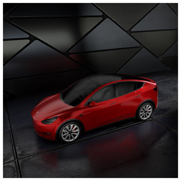 Tesla Model Y PPF Front Protection DIY Kit – TESLARATI Marketplace