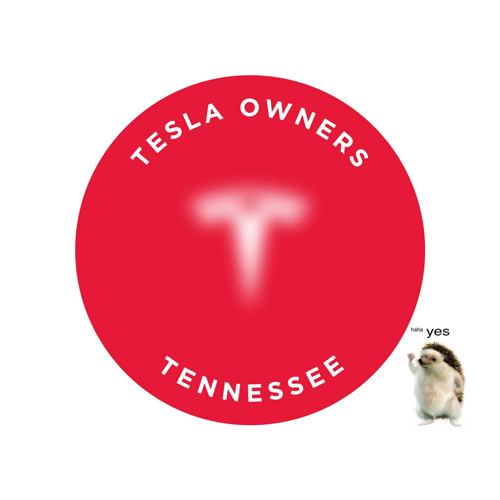 Tesla Owners Stickers 