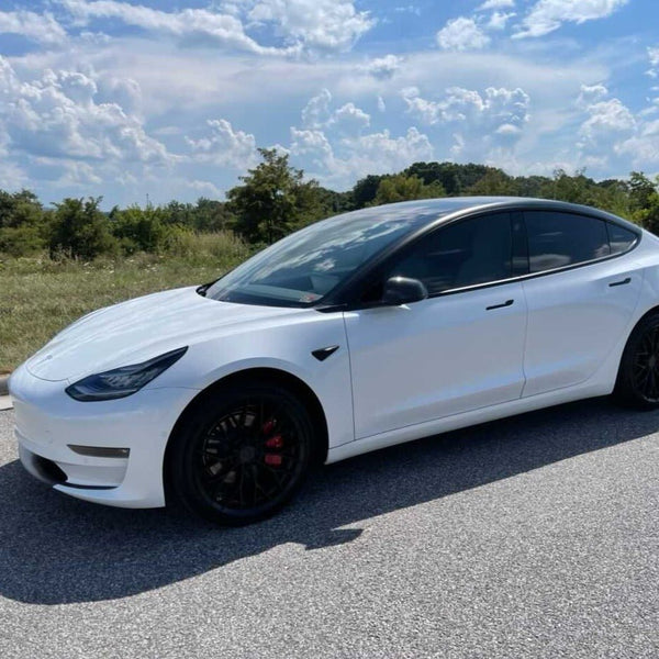 Amazon.co.jp: Tesla テキーラ デキャンタ ボトル&スタンド 限定