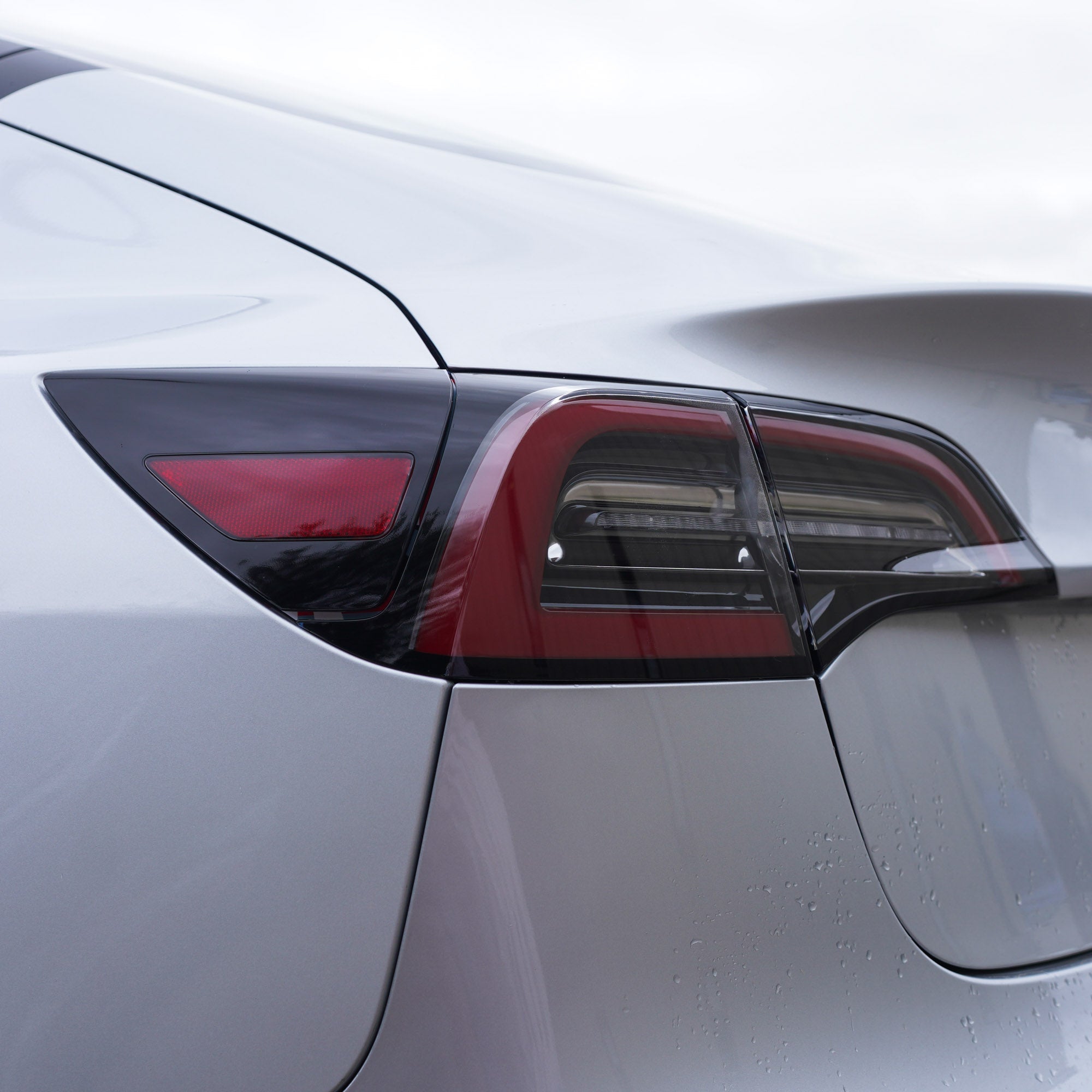 Taillight Protection - PPF for Model 3/Y